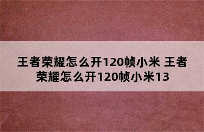 王者荣耀怎么开120帧小米 王者荣耀怎么开120帧小米13